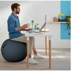 LEITZ Cosy Ballon d'assise ergonomique, gris, 52790089