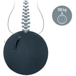 LEITZ Cosy Ballon d'assise ergonomique, gris, 52790089