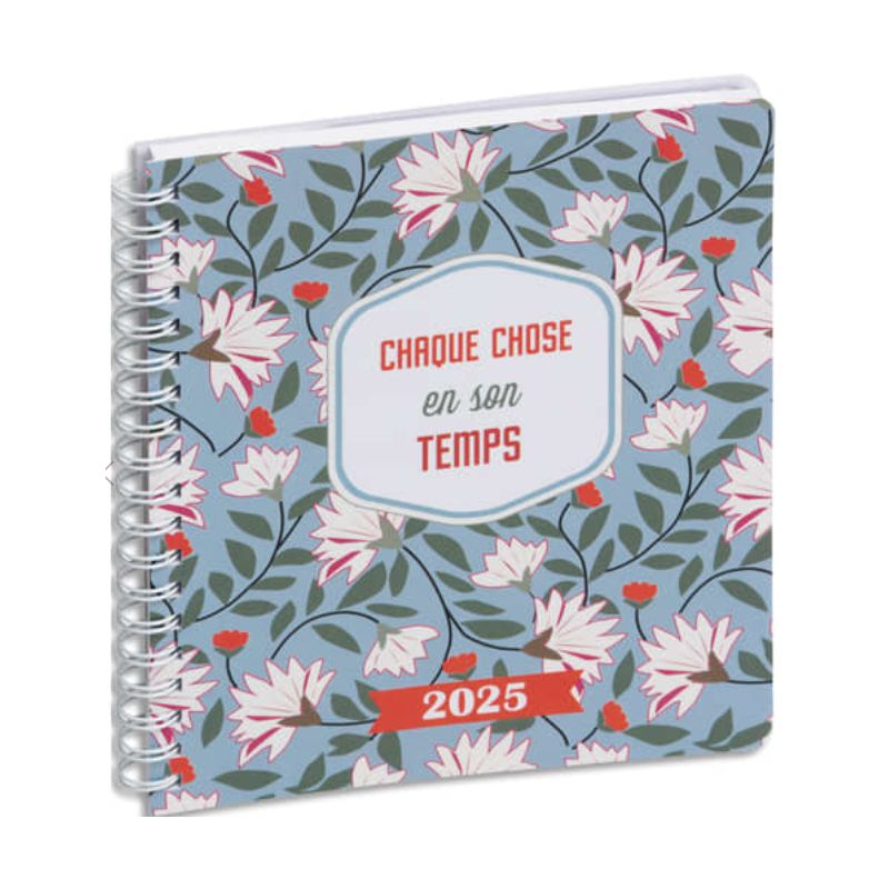  EXACOMPTA Agenda de bureau Lady 18S Dodo & Cath 15x17 cm spiralé Janvier à Décembre 2025 Temps